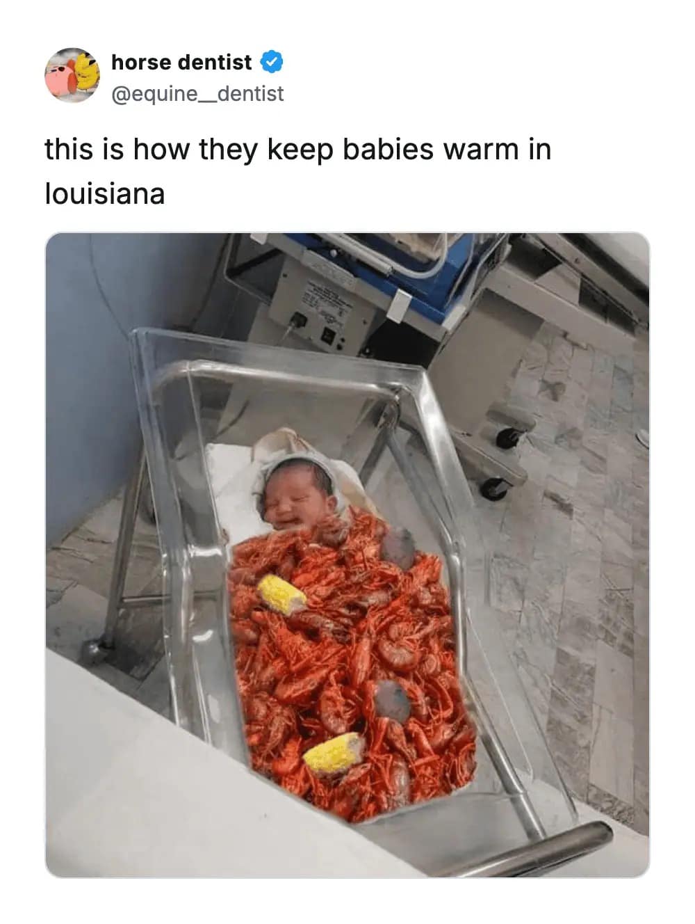 Hospital newborn bassinet hilariously filled with boiled crawfish and corn to keep the baby warm in Louisiana. Absurd internet humor in a meme dump.