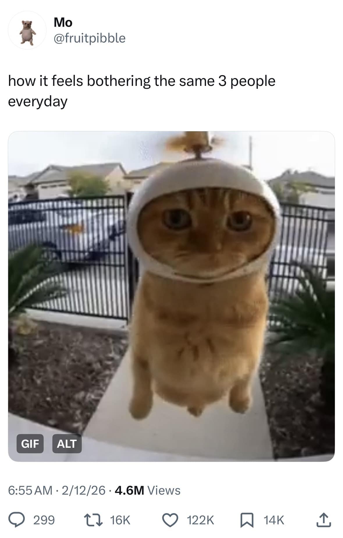 Orange cat wearing a silly helmet staring into a ring camera. Represents the urge to bother the same three friends daily.