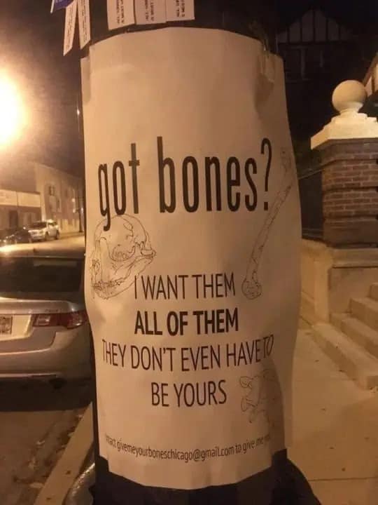 A chaotic meme dump photo of a flyer asking for "all of the bones" in Chicago.