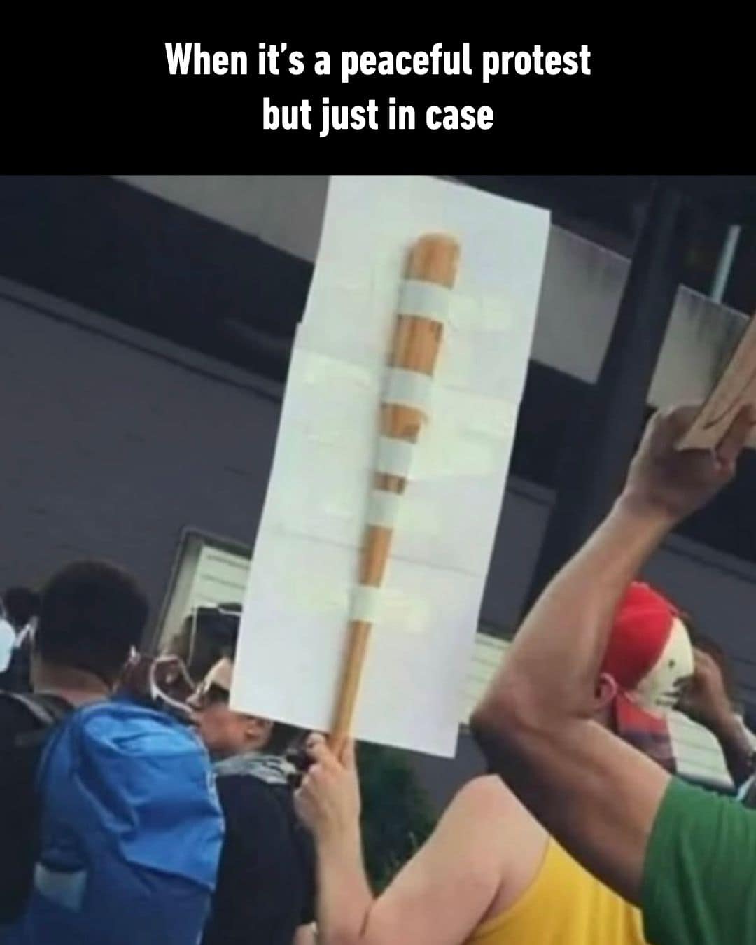 A hilarious meme dump entry showing a person at a rally holding a completely blank white cardboard sign that secretly has a large wooden baseball bat heavily taped to the back, jokingly captioned, "When it's a peaceful protest but just in case" as a brilliant funny meme.