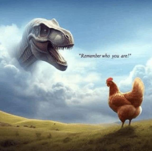 A Lion King parody funny meme where a T-Rex in the clouds tells a chicken to "remember who you are."