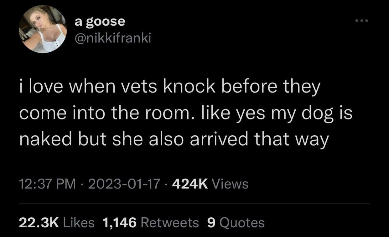 Funny meme tweet: User joking about veterinary etiquette. Text: "i love when vets knock before they come into the room. like yes my dog is naked but she also arrived that way"
