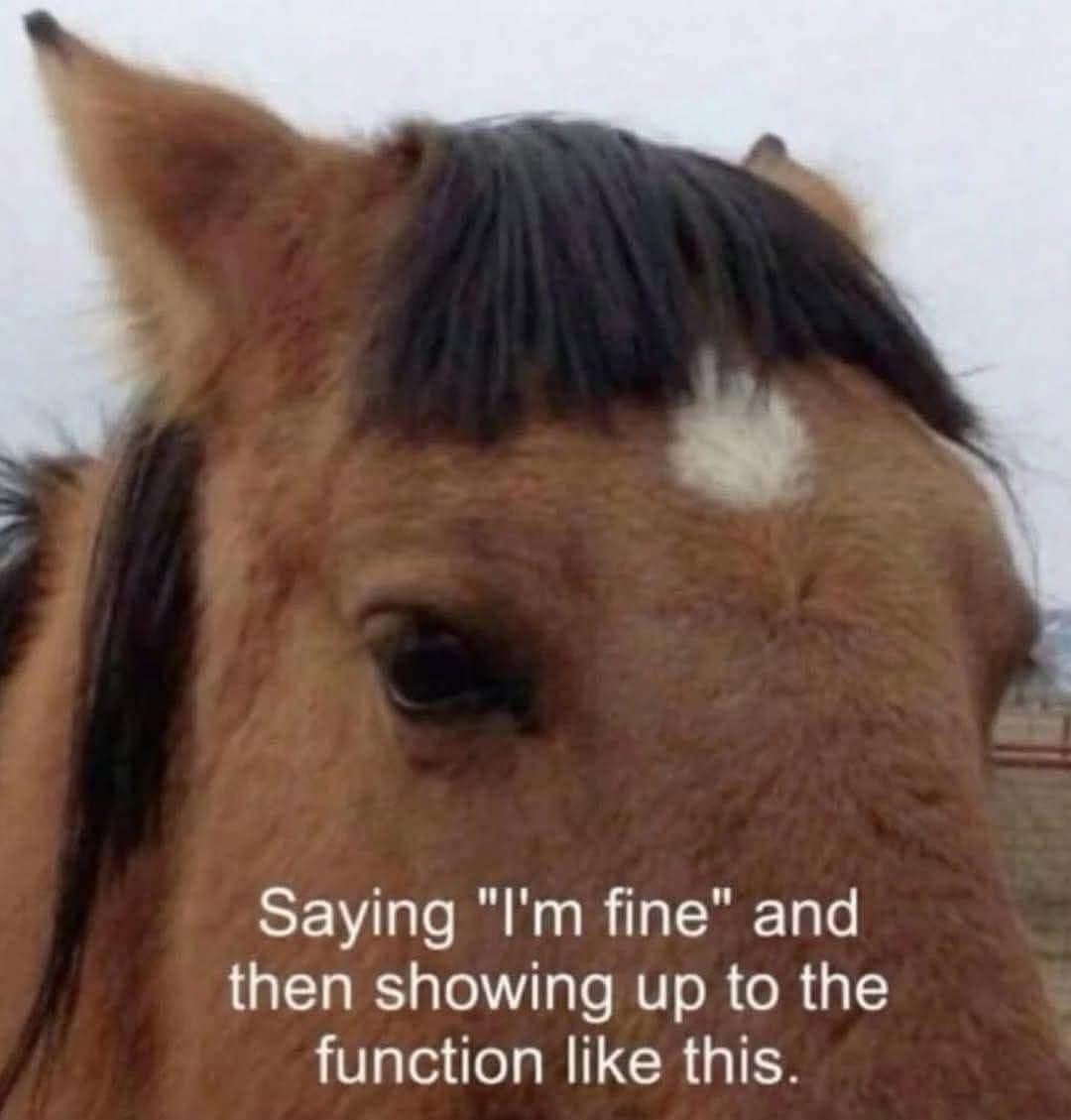 A hilarious meme dump reaction image featuring a horse with a terrible bowl cut fringe to depict saying "I'm fine" while showing up to an event looking completely unhinged.