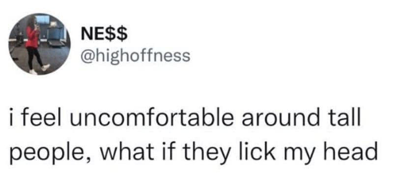 A chaotic short people meme expressing an irrational fear of being around tall people because "what if they lick my head."
