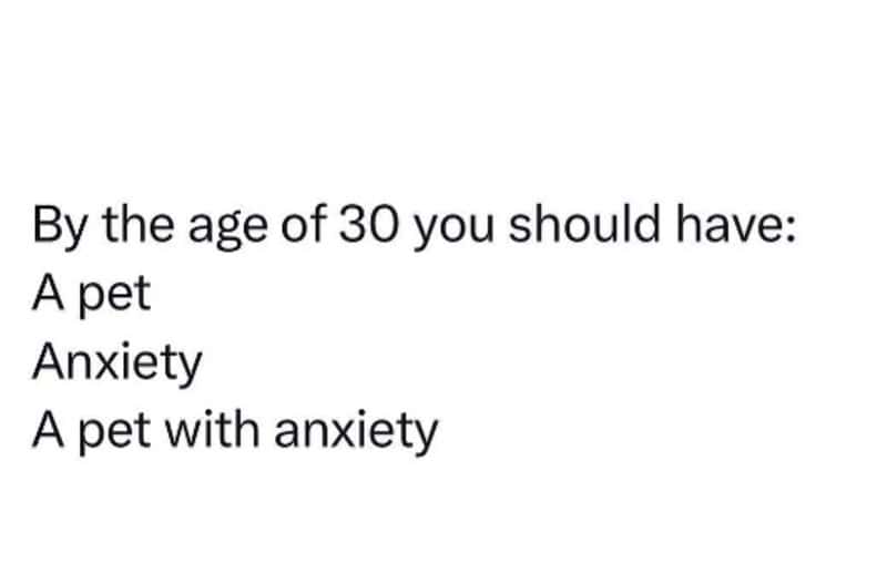 Text post list about having a pet with anxiety funny millennial tweets style.