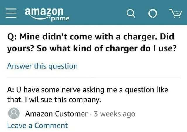 Amazon Q&A where a customer replies aggressively to a simple question about a charger.