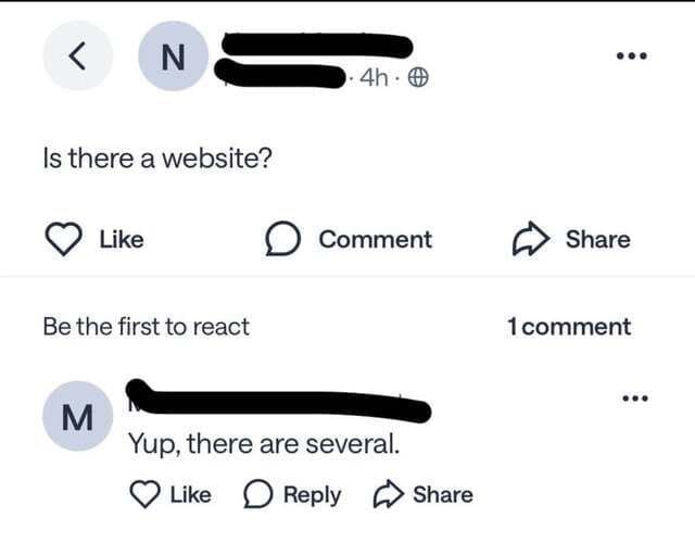 Facebook exchange where a user asks if there is a website and receives a literal answer.