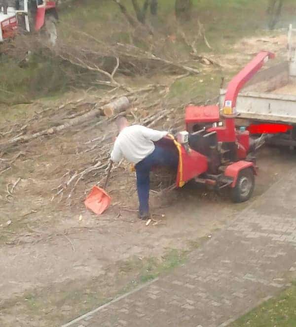A cringeworthy funny osha fail where a landscaping worker decides to use his leg to stomp branches directly into the feed of a running wood chipper.