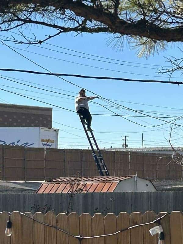 A "death wish" osha meme showing a man balancing an extension ladder on a sloped shed roof to reach high-voltage power lines.
