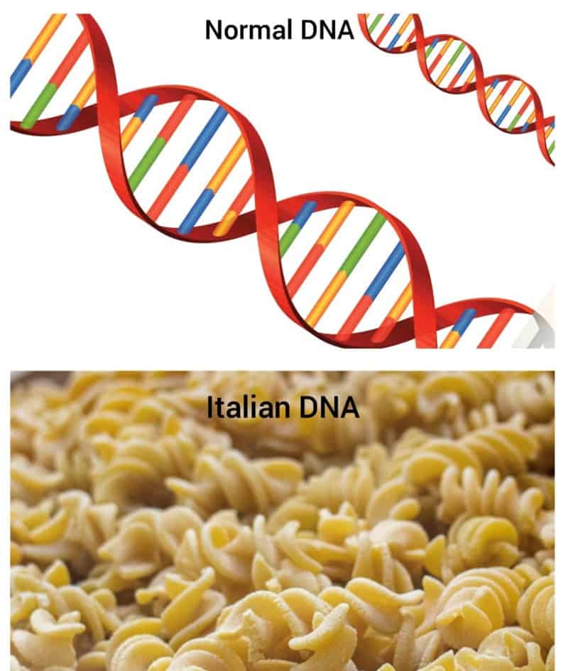 Scientific diagram comparing a standard double-helix DNA strand to "Italian DNA" made of rotini pasta.