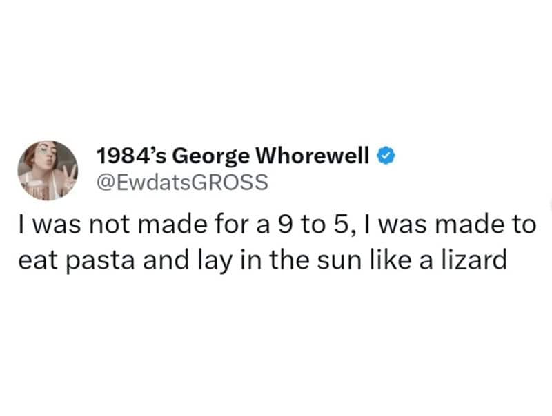 Social media post stating they were made to eat pasta and lay in the sun like a lizard.