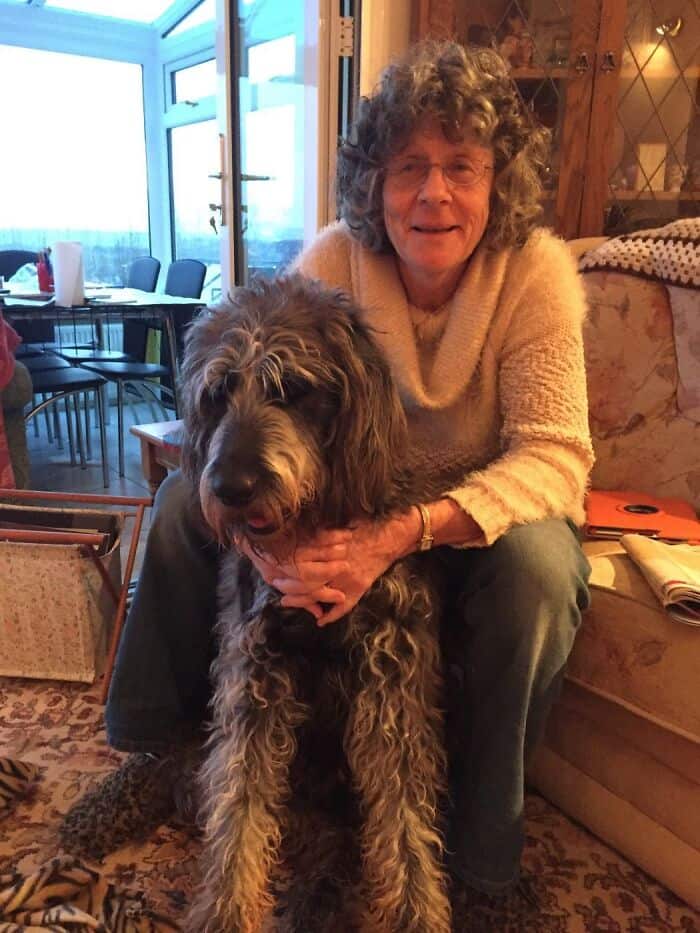 A woman with curly grey hair holding a large grey doodle dog with matching curly fur.