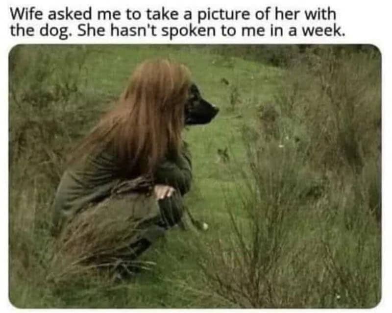 Relationship meme showing a confusing optical illusion of a woman crouching in a field with a dog.