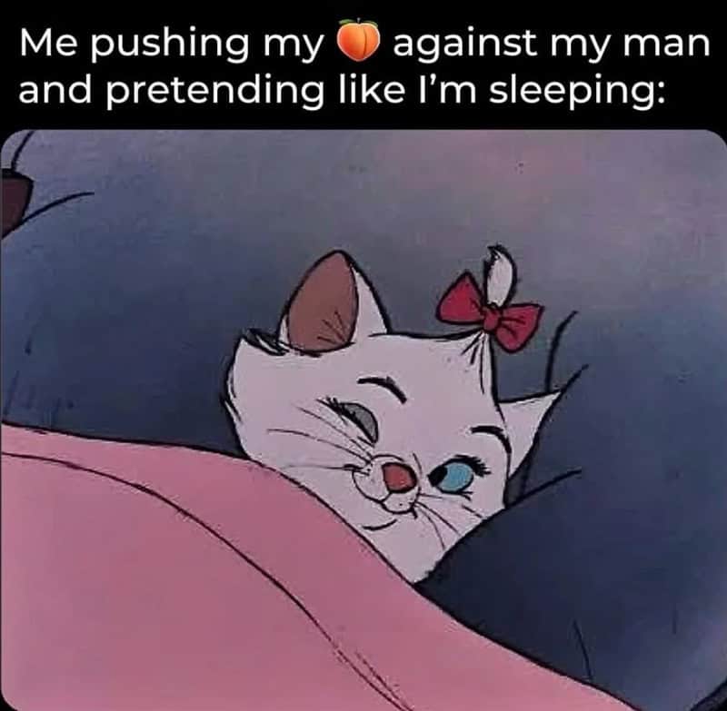 Cartoon cat Marie from The Aristocats pretending to sleep while snuggling against her partner in bed.