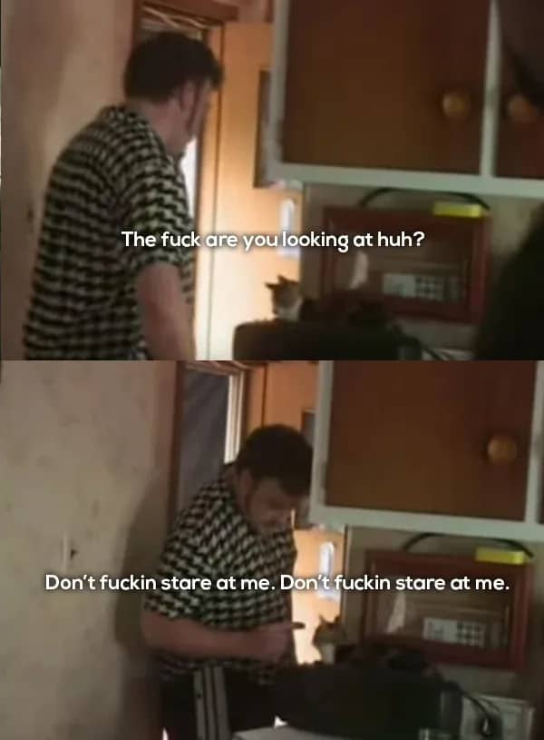 Close-up of a caterpillar on a leaf with a Rickyism caption calling it a canipillar.