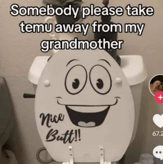 Toilet with a "Nice Butt" face decal purchased by a grandmother on Temu.