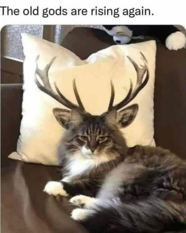 Fluffy cat sitting perfectly in front of an antler pillow making it look like a mythical god. Funny pet picture.