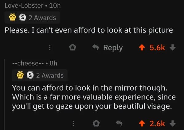 A wholesome comment telling a user that looking in the mirror is valuable because they get to gaze upon their "beautiful visage."