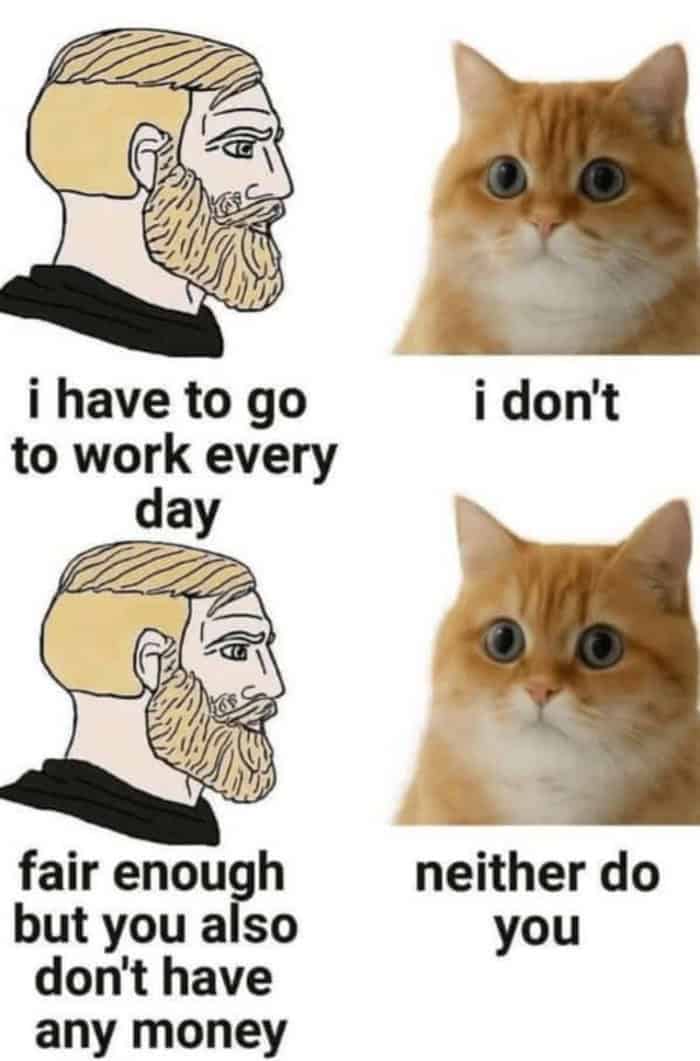A brutal reality check and one of the best funny memes about work, showing a Wojak character realizing that even though his cat doesn't work and has no money, his own daily 9-to-5 grind leaves him equally broke.
