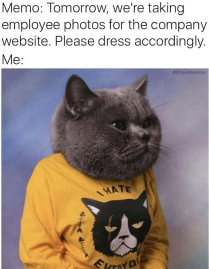 : A rebellious corporate work meme showing a grumpy grey cat wearing a yellow shirt that reads "I Hate Everyone," representing the exact malicious compliance outfit chosen when management asks staff to "dress accordingly" for company website photos.