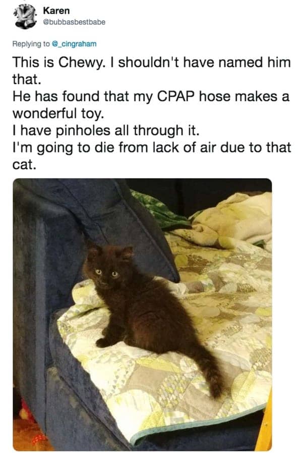 Karen tweet about a black kitten named Chewy who put pinholes through a medical CPAP hose.