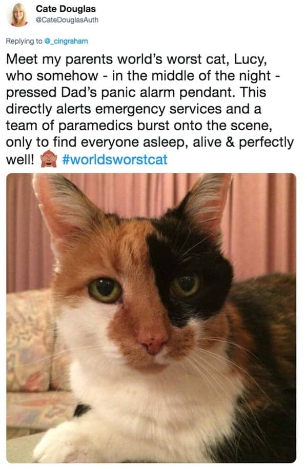 Cate Douglas tweet about a calico cat named Lucy who accidentally summoned paramedics via a panic alarm.