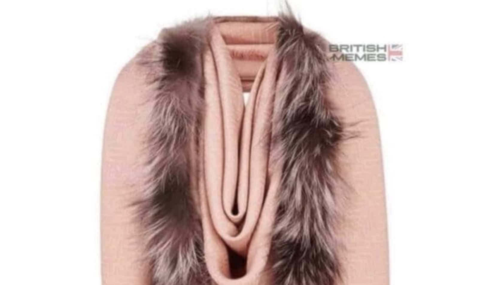 Close-up of a pink Fendi fur-trimmed shawl highlighting its controversial and humorous physical design.
