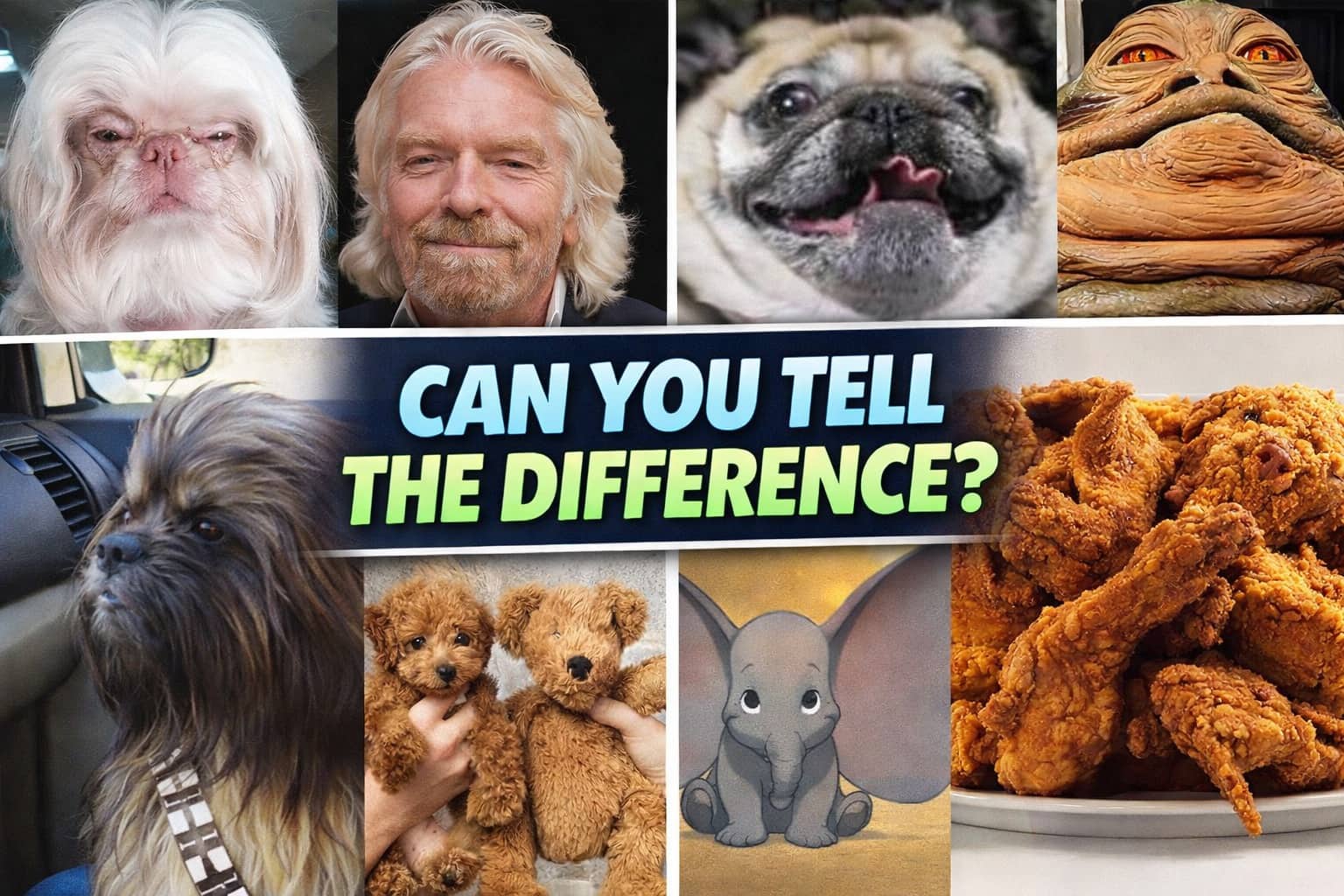 Comparison grid showing funny lookalike pairs of dogs, celebrities, characters, and fried chicken pieces.