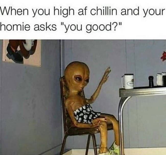 A small alien in patterned shorts sitting on a chair responding to a friend.