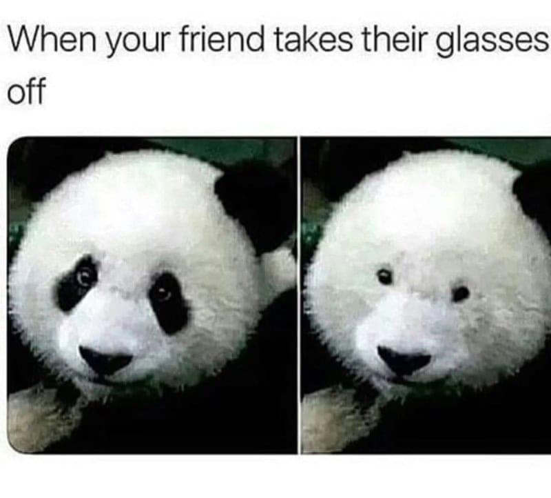 The startling transformation of seeing a friend without their frames is hilariously illustrated in this funny animal picture showing a panda with its iconic eye patches photoshopped off.