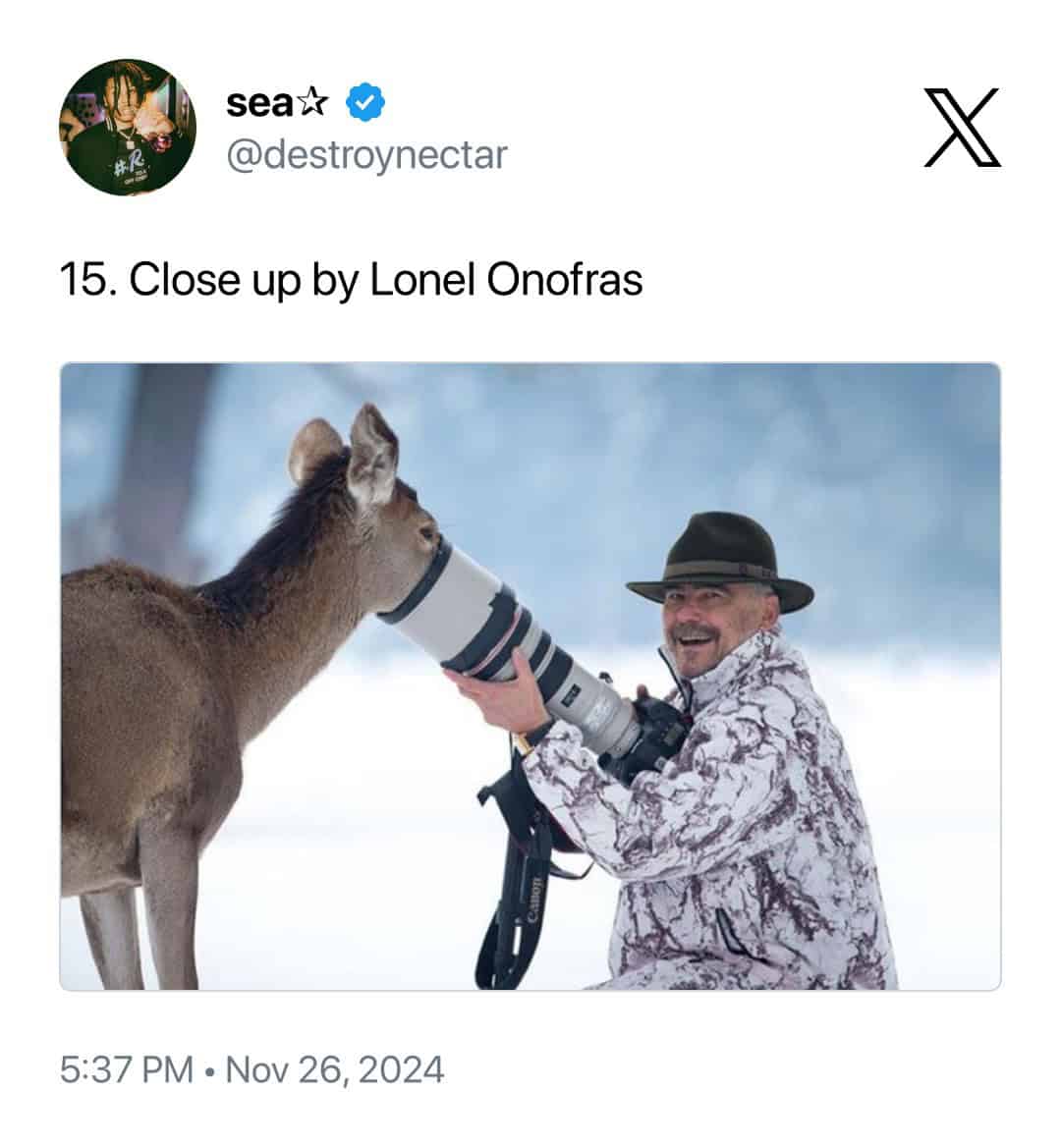charming instance of animals interrupting wildlife photographers titled "Close up," showing a deer in a snowy forest pressing its nose directly against the glass of Lonel Onofras’s massive white telephoto lens.