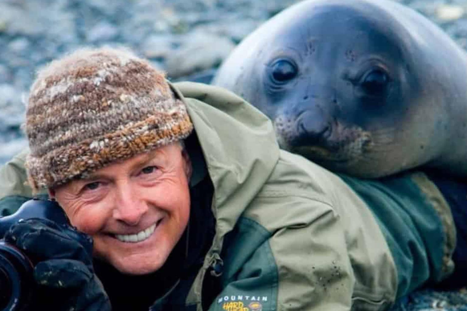 animals interrupting wildlife photographers compilation: A collage featuring a red fox appearing to operate a professional camera like a seasoned pro, a lioness proudly carrying a stolen DSLR and massive lens in her mouth, and a grizzly bear standing on its hind legs to check a photographer's framing.