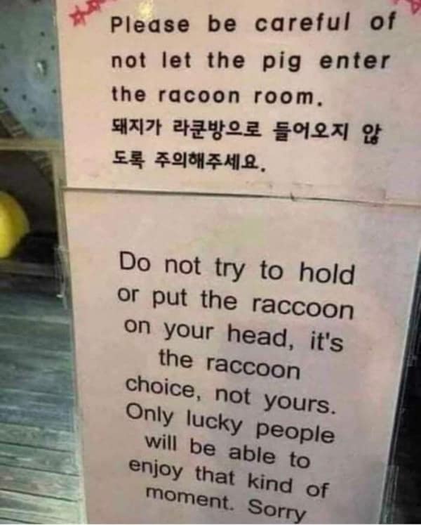 chaotic bad idea meme showing a warning sign at a sanctuary that pleads with guests not to let the pig into the "raccoon room" and reminds them that putting a raccoon on their head is a "raccoon choice," not theirs.