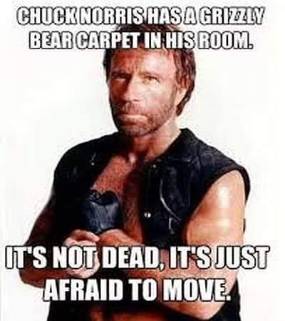 A gritty, shirtless photo of Chuck Norris. The final best Chuck Norris meme in this set claims he has a grizzly bear carpet that isn't actually dead—it's just too afraid to move.