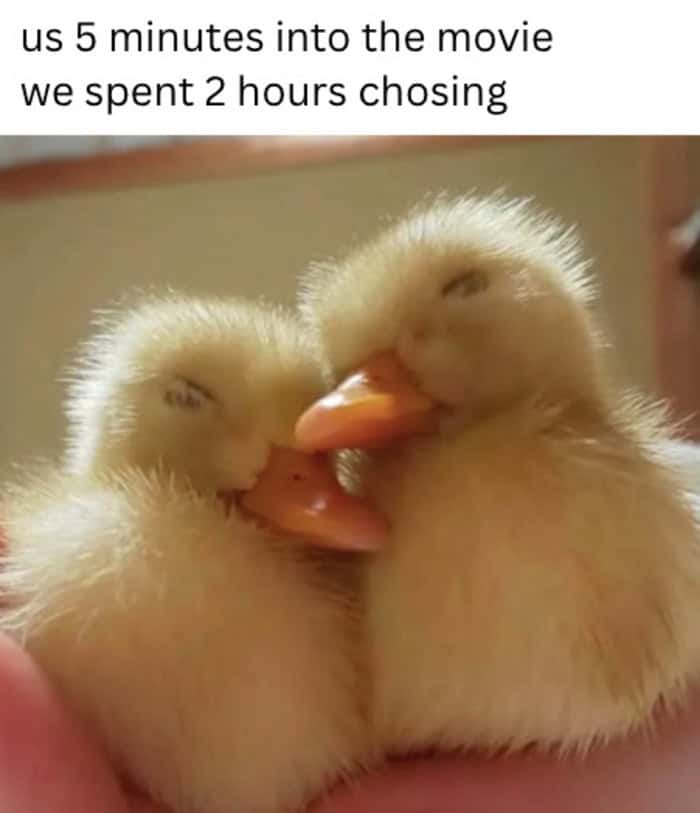 Two fluffy ducklings sleeping against each other after spending too much time choosing a movie to watch.
