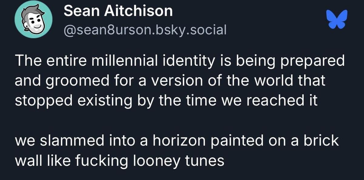 accurate classic meme comparing the entire millennial generation's life trajectory to slamming into a painted horizon on a brick wall like a Looney Tunes character, a classic philosophical entry in old memes.