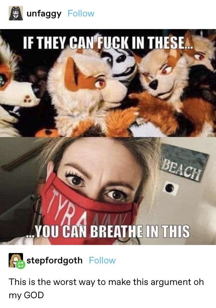 A hilarious classic meme from Tumblr showing a bizarre pro-mask argument, comparing the ability of furries to hook up in heavy fursuits to a woman complaining about breathing in a thin cloth mask, making for a wildly unhinged entry in the vault of old memes.