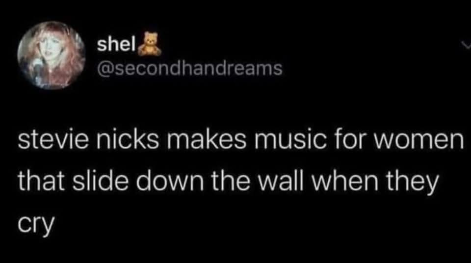 A text-based classic meme featuring a tweet from user shel (@secondhandreams) that reads: "stevie nicks makes music for women that slide down the wall when they cry." It humorously characterizes the intense, dramatic emotional energy of the singer's discography.