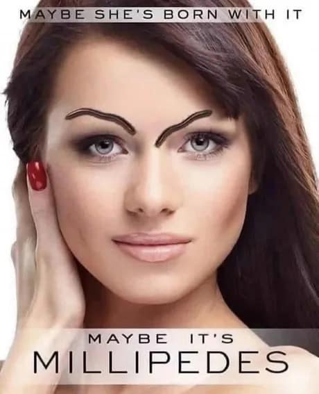 cursed and unhinged parody of a famous makeup slogan defines this classic meme showing a woman whose eyebrows have been replaced with literal crawling millipedes