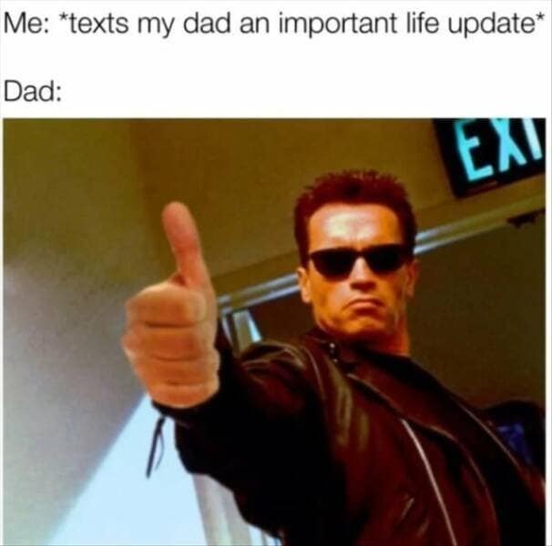 Arnold Schwarzenegger as the Terminator giving his iconic thumbs up, perfectly capturing the minimal effort of a dad reacting to a massive life update over text in this collection of old memes.