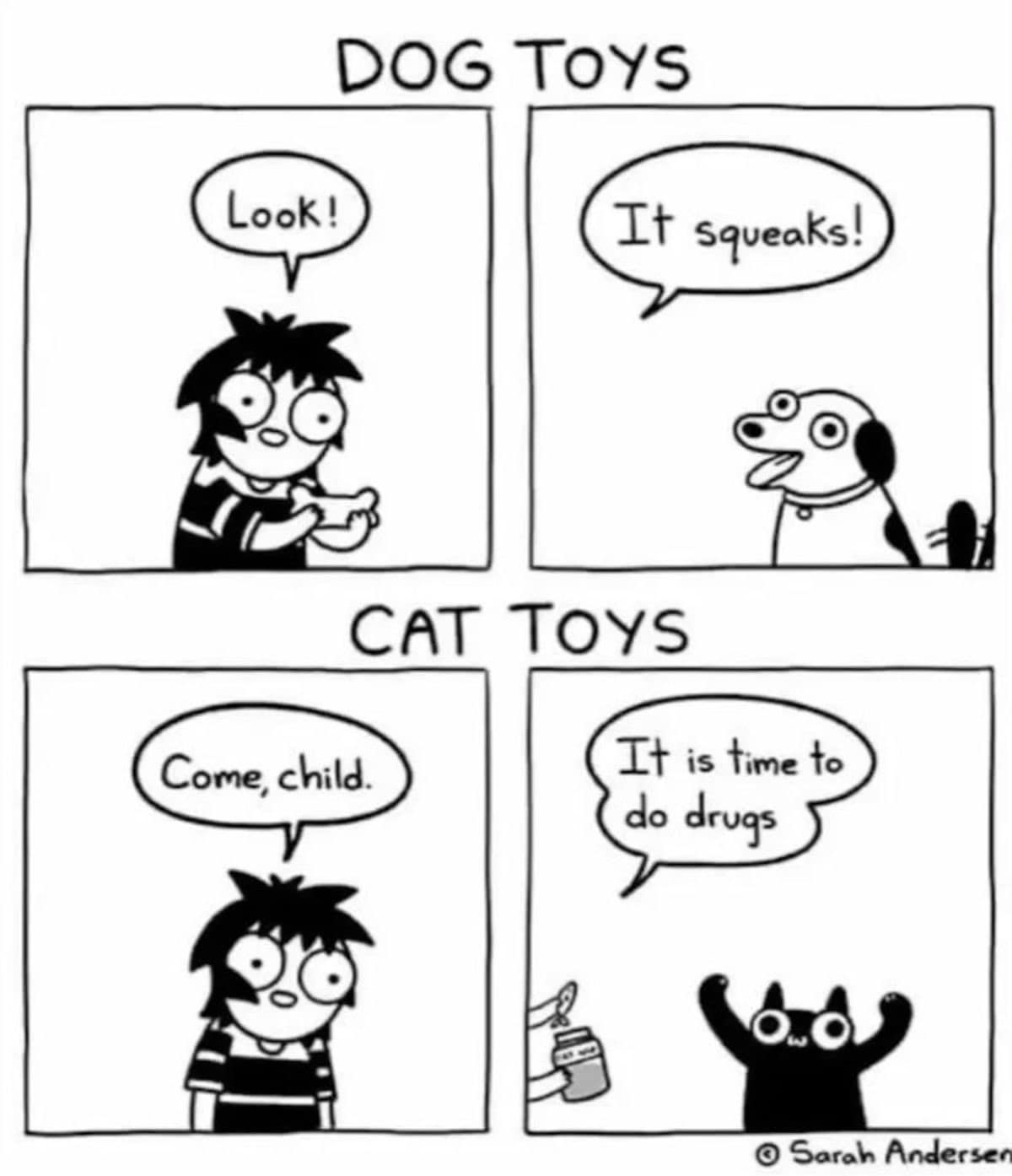 A classic meme comic by Sarah Andersen titled "Dog Toys vs. Cat Toys." The top panels show a dog excited by a squeaky toy; the bottom panels show a wide-eyed owner inviting their cat over with the phrase, "Come, child. It is time to do drugs," while holding a jar of catnip.