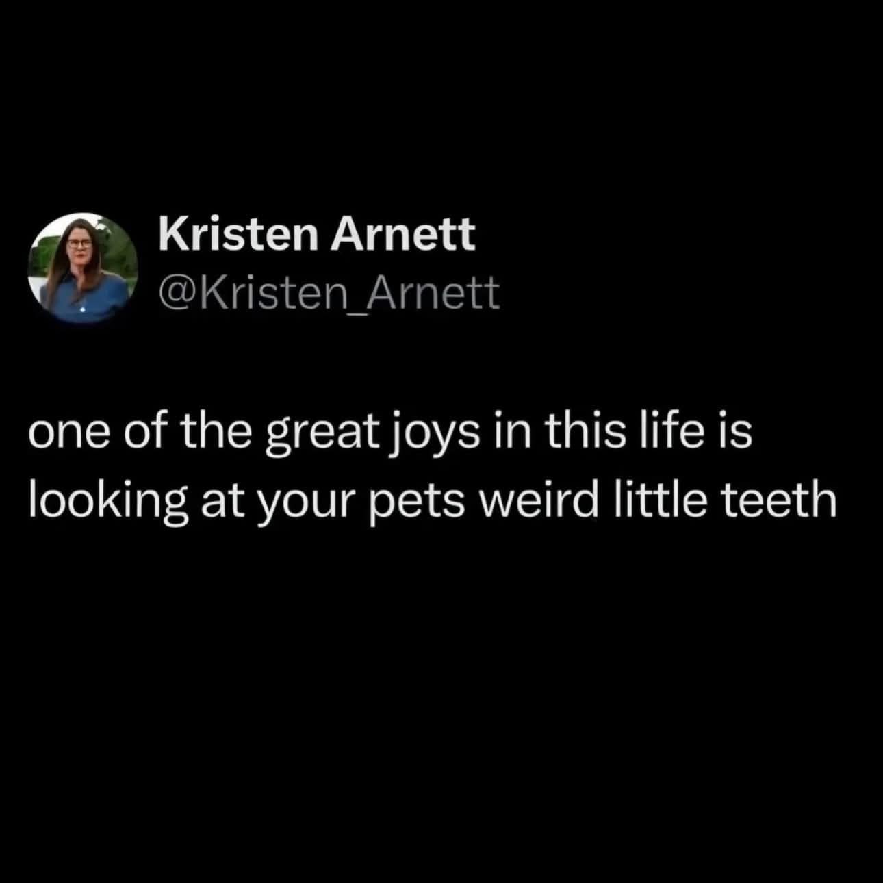 A wholesome and funny classic meme tweet expressing that one of the absolute greatest joys in life is simply looking at your pet's weird little teeth, a highly accurate observation found in old memes.