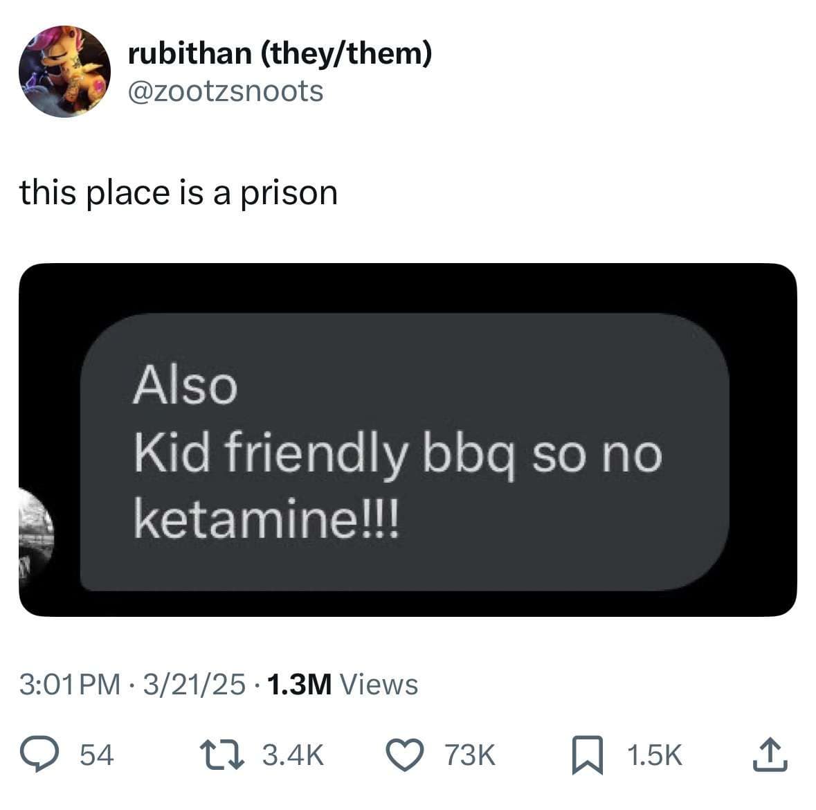 chaotic classic meme tweet describing a "prison" of a text invite that specifies a kid-friendly BBQ with a strict "no ketamine" rule.