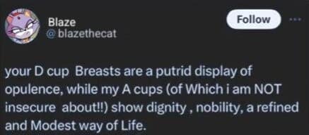A hilarious classic meme tweet from a Sonic the Hedgehog character account aggressively defending their small chest size as a sign of dignity and nobility while completely denying any insecurity, a truly unhinged piece of old memes lore.