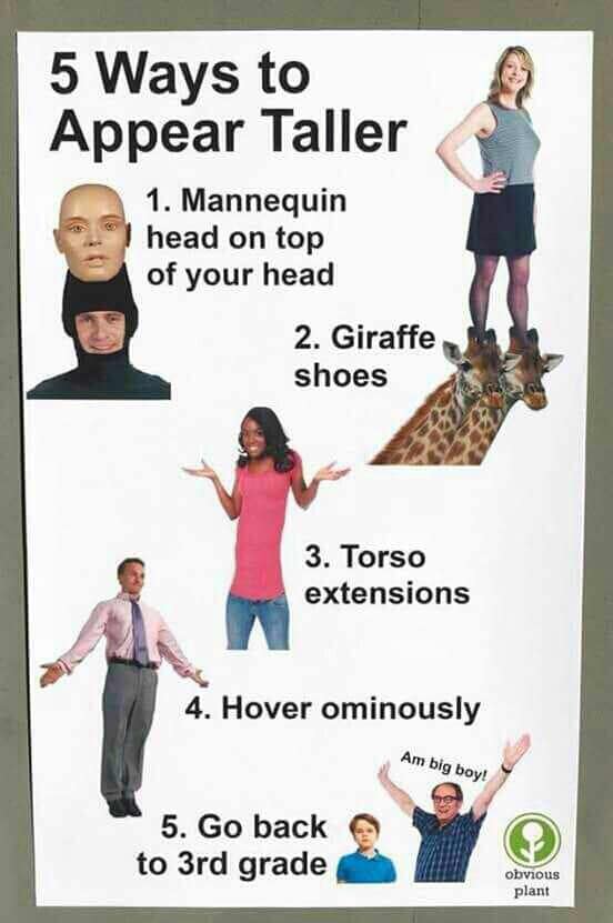 An absurd Obvious Plant poster in this classic meme outlining five ridiculous ways to appear taller, including wearing giraffe shoes and hovering ominously, adding a layer of surreal humor to the collection of old memes.