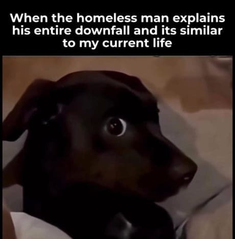 relatable classic meme showing a wide-eyed, traumatized dachshund dog, capturing the exact sheer panic of a homeless man explaining his downfall only for it to sound exactly like your current life trajectory.