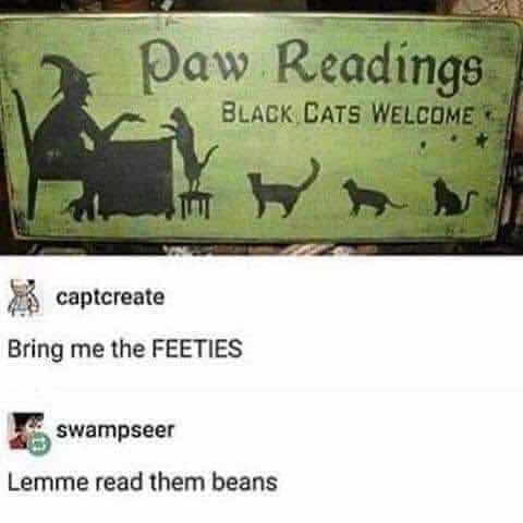 whimsical classic meme featuring a vintage-style wooden sign for a "Paw Reading" shop where "Black Cats Welcome." The Tumblr comments below obsess over the feline "FEETIES" and the desire to "read them beans."