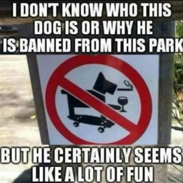 absurd vintage meme showing a "no dogs allowed" sign with a uniquely debauched silhouette. The banned dog is depicted riding a skateboard, smoking a cigarette, and holding a wine glass. The caption reads, "I DON'T KNOW WHO THIS DOG IS... BUT HE CERTAINLY SEEMS LIKE A LOT OF FUN."