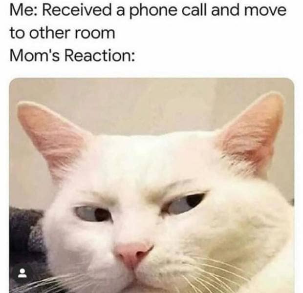 relatable classic meme featuring a close-up of a white cat with a skeptical, narrow-eyed side-eye. The caption reads, "Me: Received a phone call and move to other room. Mom's Reaction:", capturing universal parental suspicion.