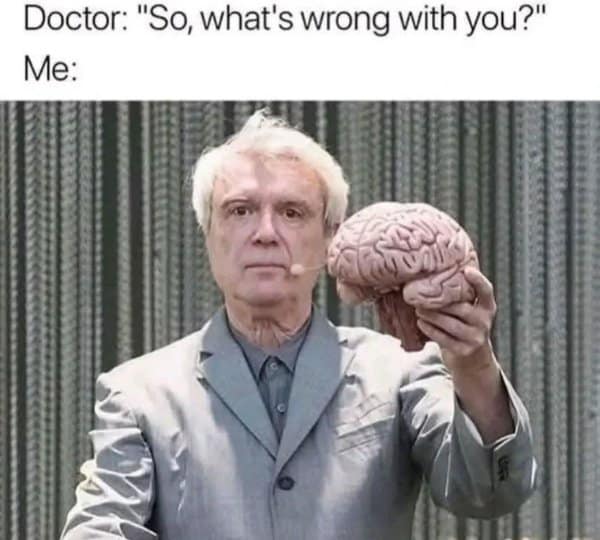 The existential dread of explaining mental health to a professional is represented in this classic meme featuring David Byrne holding a physical human brain to show a doctor exactly what is wrong